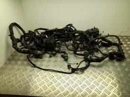 Alfa Romeo Stelvio Other wiring loom 00505585130