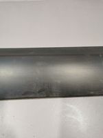 Nissan Qashqai Rivestimento della portiera anteriore (modanatura) 