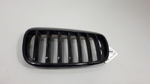 BMW X6 E71 Front bumper upper radiator grill 