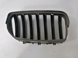 BMW X6 E71 Front bumper upper radiator grill 7171395