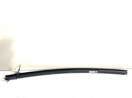 BMW X3 F25 Rear door glass trim molding 7205754