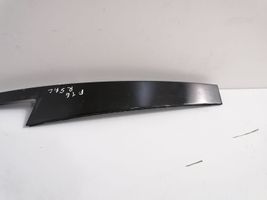 BMW X6 F16 Rear door glass trim molding 7317800