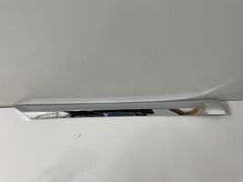 Bentley Continental Front door trim (molding) 3W8853536AA