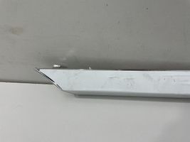 Bentley Continental Front door trim (molding) 3W8853536AA