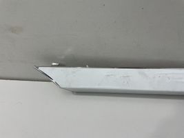 Bentley Continental Front door trim (molding) 3W8853536AA