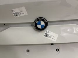 BMW 2 F44 Galinis dangtis (bagažinės) 1234567