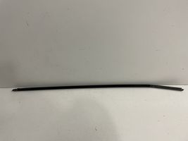 BMW X6 E71 Уплотнительная резина (у стекла) 1234567