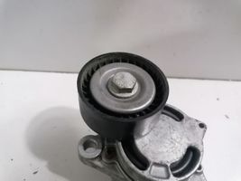 BMW 4 F32 F33 Napinacz paska wielorowkowego / Alternatora 7619248