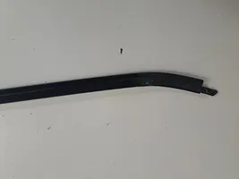 BMW X3 G01 Rivestimento del vetro della portiera 7410014