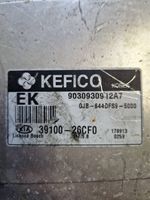 KIA Rio Calculateur moteur ECU 3910026CF0