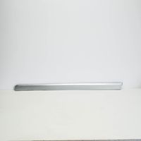 Seat Exeo (3R) Front door trim (molding) 