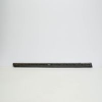 Seat Exeo (3R) Front door trim (molding) 