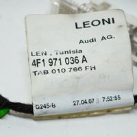 Audi A6 S6 C6 4F Faisceau de câblage de porte avant 4F1971036A