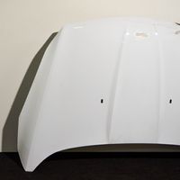 Ford Kuga II Engine bonnet/hood 