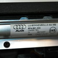 Audi A3 S3 8P Boczki / Poszycie drzwi tylnych 8P4861333