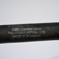 Audi A4 S4 B9 Žarna (-os)/ vamzdis (-džiai) 8W0819350H