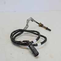 Audi A6 S6 C7 4G Eļļas temperatūras sensors 04L906088DR