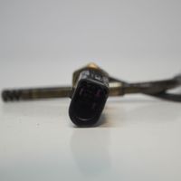 Audi A6 S6 C6 4F Eļļas temperatūras sensors 03L906088AB