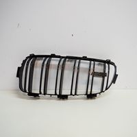 BMW 3 F30 F35 F31 Grille de calandre avant 8068581