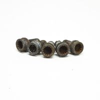 Volkswagen PASSAT B5 Nuts/bolts NERAOEM