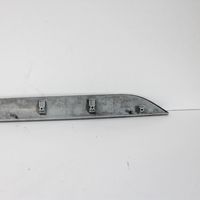 Volkswagen PASSAT CC Front door trim bar 3C8867409A