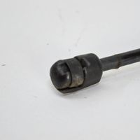 Volkswagen PASSAT B8 Feder Heckklappe Kofferraumdeckel 3G9827550A