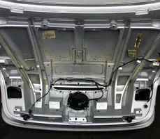 Volkswagen Eos Galinis dangtis (bagažinės) 100827025E