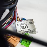 Audi A8 S8 D3 4E Cableado de instalación del motor 4E2971713CG