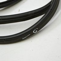 BMW 3 F30 F35 F31 Trunk rubber seal (body) 4897689