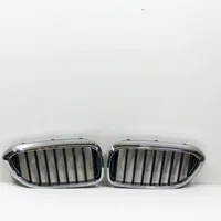 BMW 5 G30 G31 Front grill 7390863