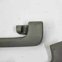 Audi Q7 4L Un set di maniglie per il soffitto 8P0857607K