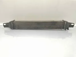 Citroen Nemo Chłodnica powietrza doładowującego / Intercooler 51790623