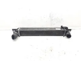 Citroen Nemo Chłodnica powietrza doładowującego / Intercooler 51790623