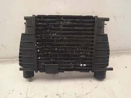 Renault Modus Chłodnica powietrza doładowującego / Intercooler 8200170504D