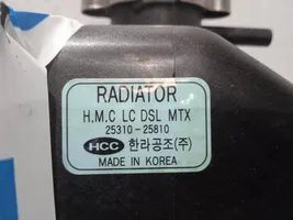 Hyundai Accent Radiateur de refroidissement 2531025810
