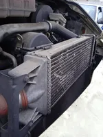 Iveco Daily 45 - 49.10 Chłodnica powietrza doładowującego / Intercooler 504022617