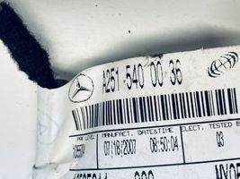 Mercedes-Benz R W251 Pasažiera drošības spilvens A2518600805