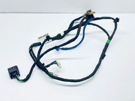 Mercedes-Benz CL C216 Front door wiring loom A2165406407