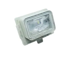 Mercedes-Benz S W222 Lampa oświetlenia tylnej tablicy rejestracyjnej A0999067000