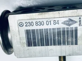 Mercedes-Benz S W220 Ilmastointilaitteen laajennusventtiili (A/C) A2308300184