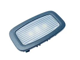 Mercedes-Benz S W222 Illuminazione sedili anteriori A0009066204