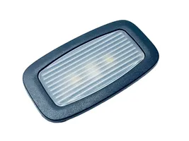 Mercedes-Benz S W222 Illuminazione sedili anteriori A0009066204