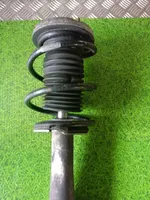 BMW M6 Rear shock absorber with coil spring 2283065