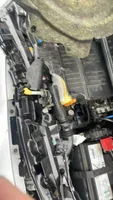 Ford Ka Serbatoio/vaschetta liquido lavavetri parabrezza 1554054