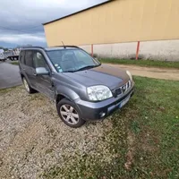 Nissan X-Trail T30 Cerniere del vano motore/cofano 654018H30A