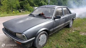 Peugeot 505 Cerniere del vano motore/cofano 