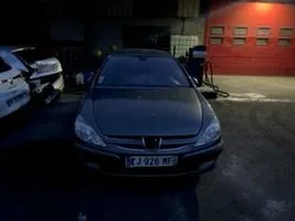 Peugeot 607 Kaasupolkimen asentoanturi 