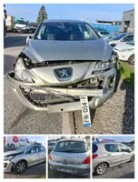 Peugeot 308 Set di cerniere portiera anteriore 8613E3