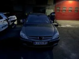 Peugeot 607 Hands free -sarja 