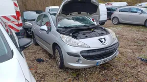 Peugeot 207 Gumowa uszczelka drzwi przednich 9023XG